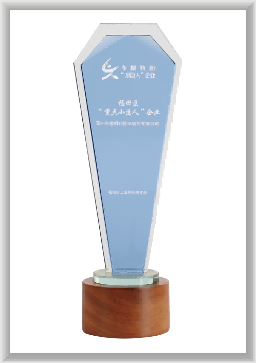 丽江福田区“沉点幼巨人”企业